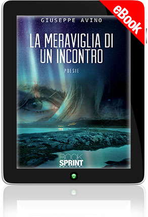 E-book - La Meraviglia di un incontro