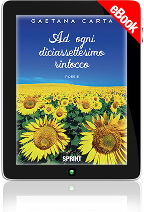 E-book - Ad ogni diciassettesimo rintocco