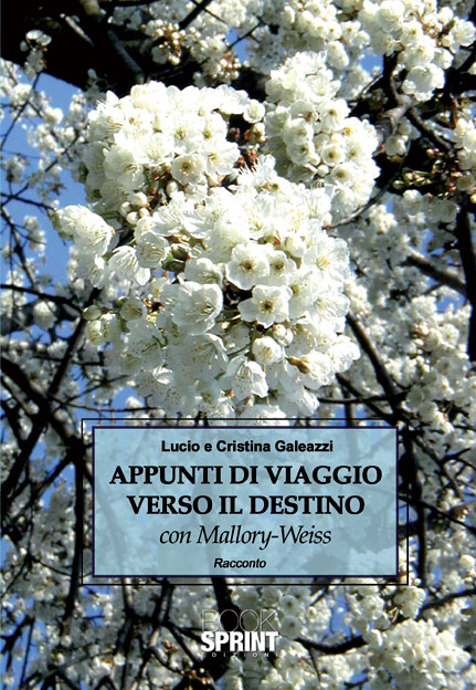 APPUNTI DI VIAGGIO VERSO IL DESTINO con Mallory-Weiss