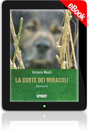 E-book - Il canto della bambina