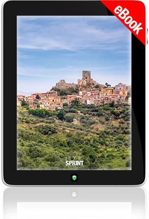 E-book - Non solo una tesi, ALESSANDRO POERIO