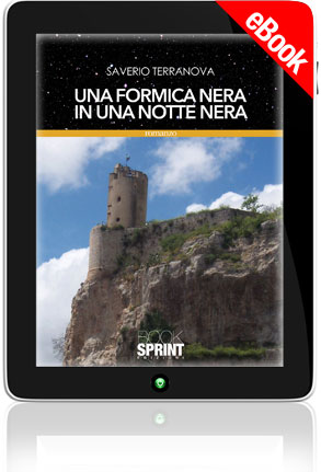 E-book - Una formica nera in una notte nera