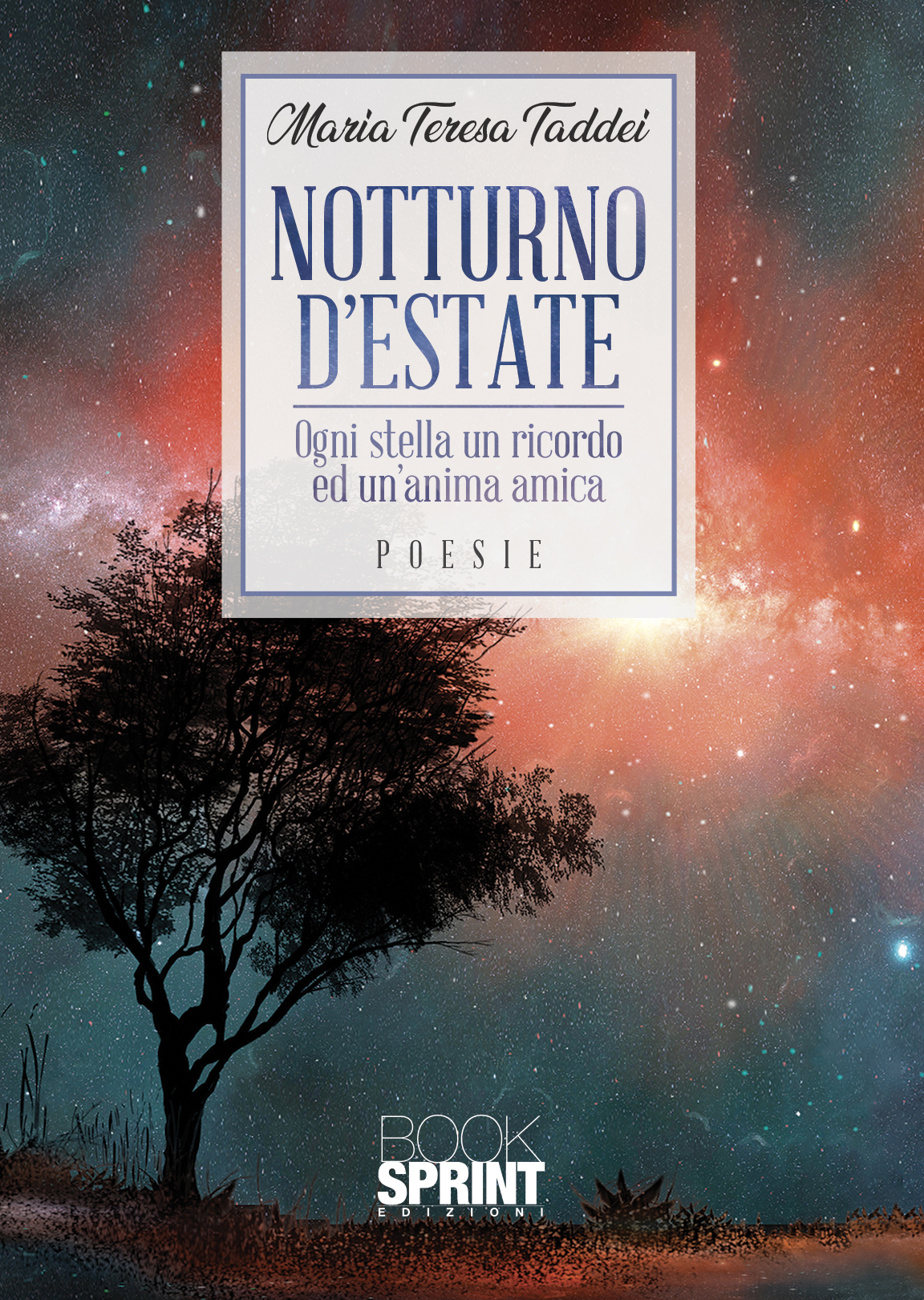 Notturno d'estate