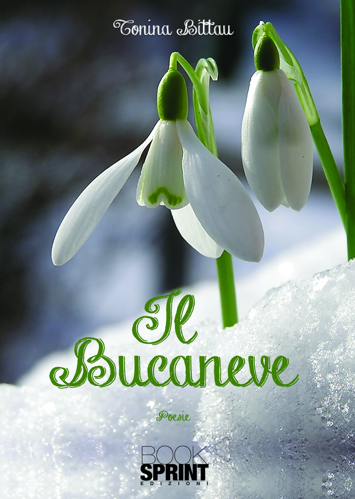 Il Bucaneve