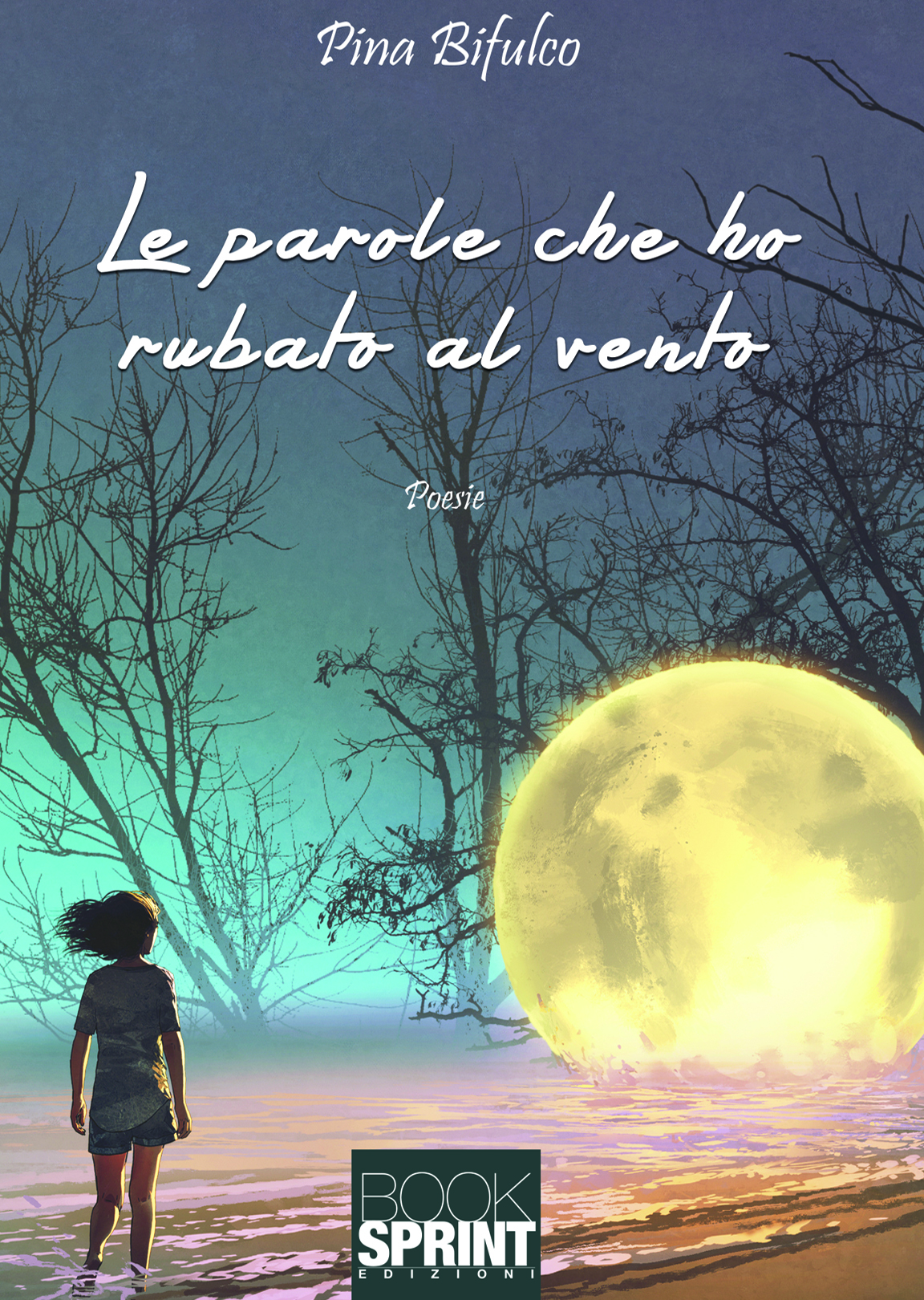 Le parole che ho rubato al vento