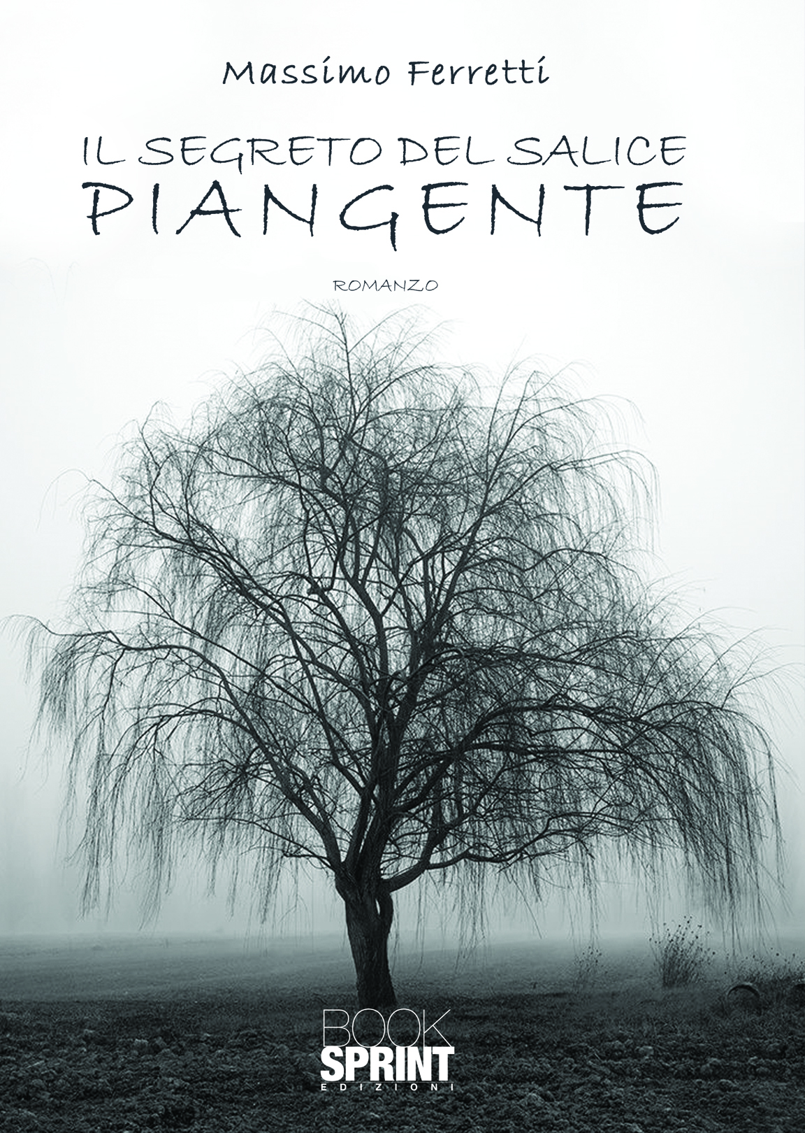 Il segreto del salice piangente